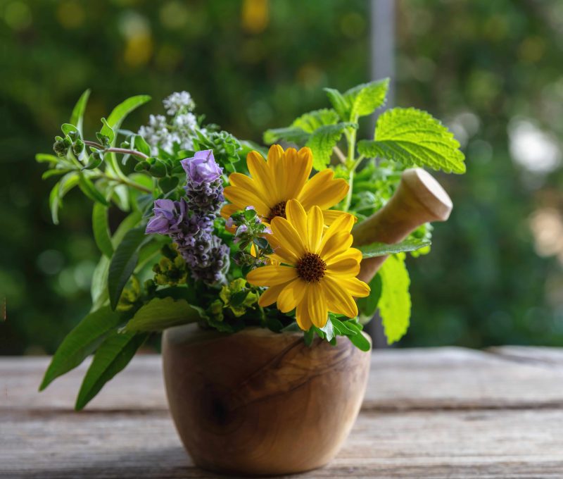 Fresh herbs in a mortar, herbal medicine, alternative healing. Mint, rosemary, basil and lavender aromatic leaves, on a wooden table, copy space