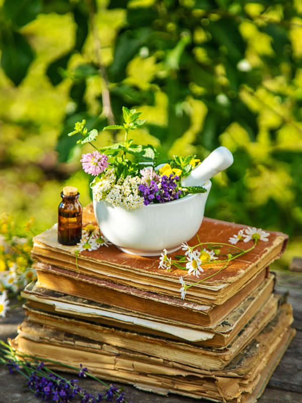 Medicinal herbs homeopathy and alternative medicine. Selective focus. nature.